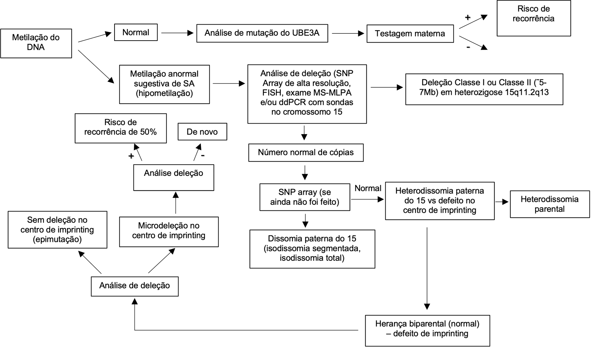 Algoritmo de testes genéticos para Síndrome de Angelman. Fluxograma mostrando a sequência diagnóstica: teste de metilação do DNA como primeiro passo, seguido de análise de deleção (FISH/MLPA), SNP array para dissomia uniparental, e sequenciamento do gene UBE3A.